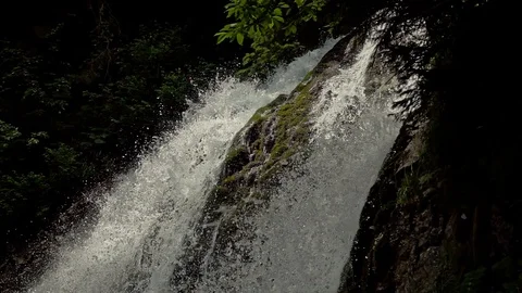 Waterfall in the forest Stock Footage 90305429