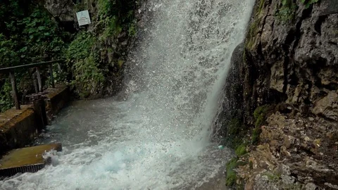 Waterfall in the forest Stock-Footage 90305618