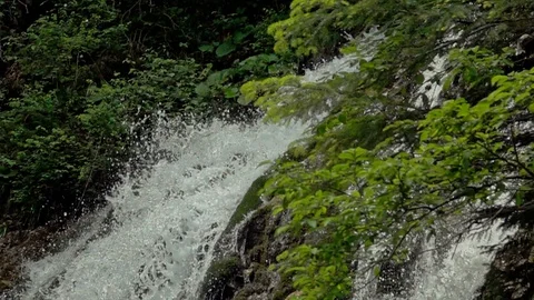 Waterfall in the forest Video stock 90305662