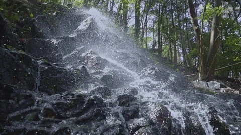Waterfall in forest Vídeo Stock 91113157