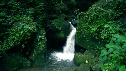 Waterfall in forest Stock Footage 94423777