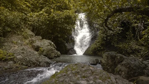 Waterfall in forest Stock Footage 95076904