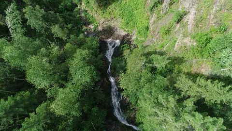 Waterfall in the forest Stock Footage 95312510