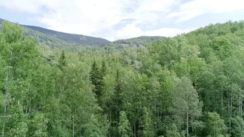 Waterfall in the forest Stock Footage 95312660