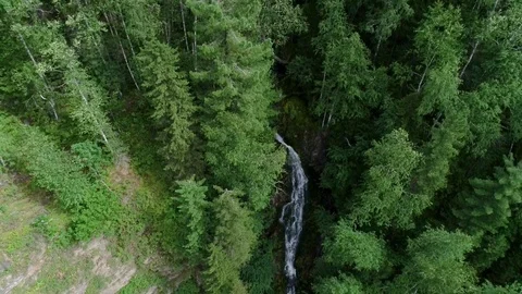 Waterfall in the forest Stock Footage 95326591