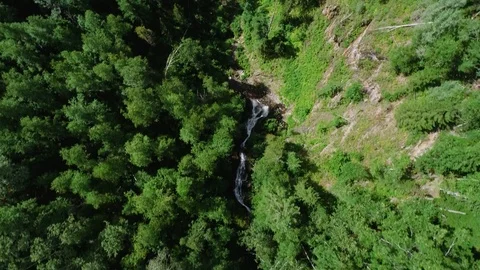Waterfall in the forest Stock Footage 95458241