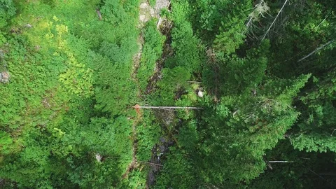 Waterfall in the forest Stock Footage 95458447