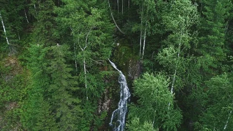 Waterfall in the forest Stock Footage 95458458