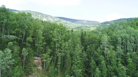 Waterfall in the forest Stock Footage 95458476