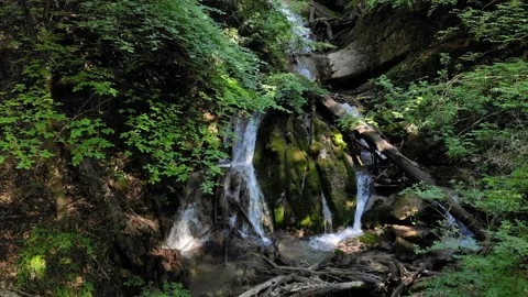 Waterfall In The Forest Stock Footage 95674245