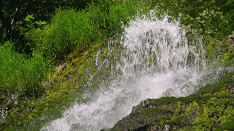 Waterfall in the forest Stock Footage 95675573