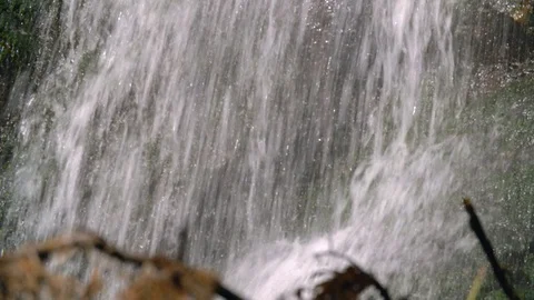 Waterfall in the forest Stock Footage 95675579