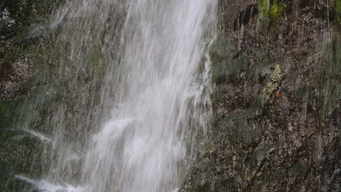 Waterfall in the forest Stock Footage 95675606