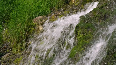 Waterfall in the forest Stock Footage 95675727