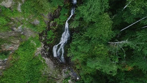 Waterfall in the forest Stock Footage 96013005