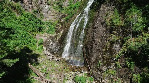 Waterfall in the forest Stock Footage 96013057