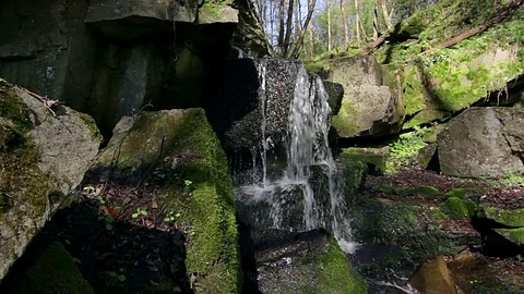 Waterfall in the forest Stock Footage 99002483