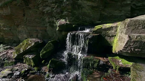 Waterfall in the forest Stock-Footage 99359845