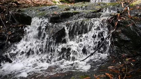 Waterfall in the Forest Stock Footage 101768806