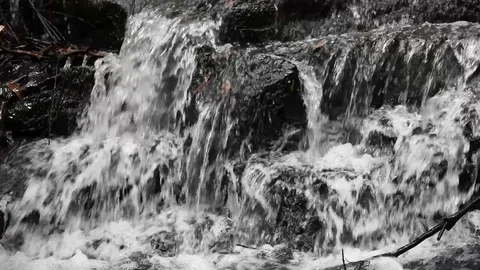 Waterfall in the Forest Stock Footage 101768810