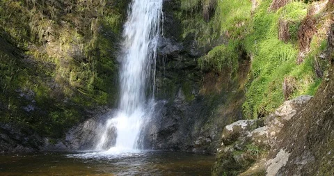 Waterfall in the forest Stock Footage 106659020