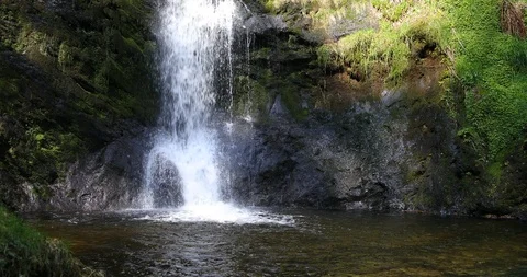 Waterfall in the forest Stock Footage 106677346