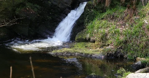 Waterfall in the forest 库存影片 106683000