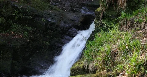 Waterfall in the forest Stock Footage 106683072