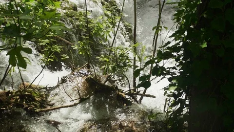 Waterfall in the forest Stock Footage 108676782