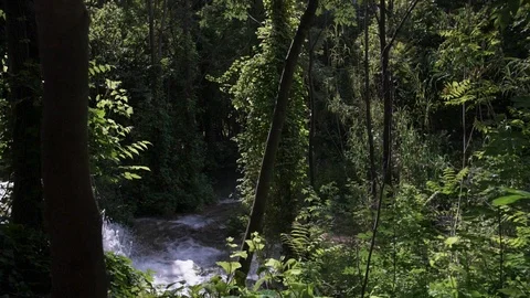 Waterfall in the forest Stock Footage 108677038