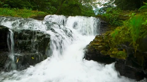 A Waterfall in the Forest Stock Footage 115270139