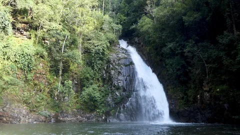 Waterfall in the forest 库存影片 117842430
