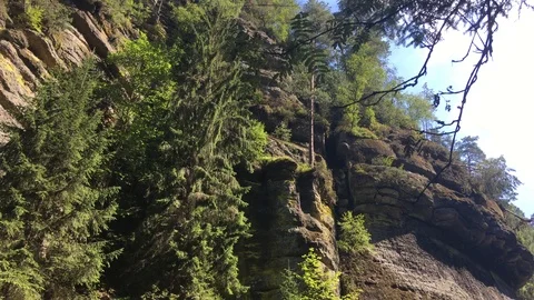 Waterfall in forest Stock Footage 120660181