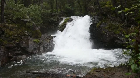 Waterfall in the forest Video stock 124194759