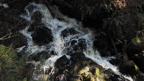 Waterfall in the forest Stock Footage 126769283