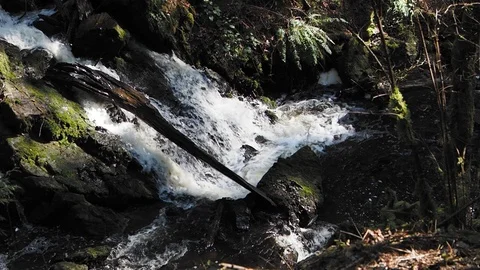Waterfall in the forest Stock Footage 126769298