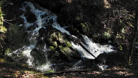 Waterfall in the forest Stock Footage 126769326