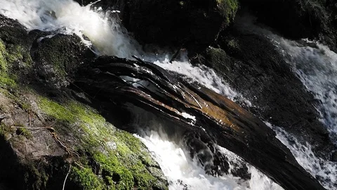 Waterfall in the forest Stock Footage 126769336