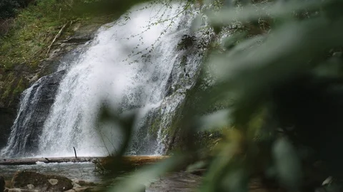 Waterfall in forest Stock Footage 128784600