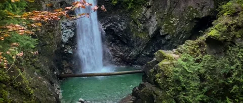 Waterfall in the forest Stock Footage 140708745