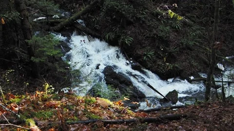 Waterfall in the forest Stock Footage 144061466