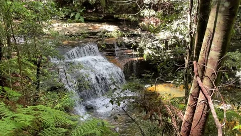 Waterfall in the forest Stock Footage 149118041