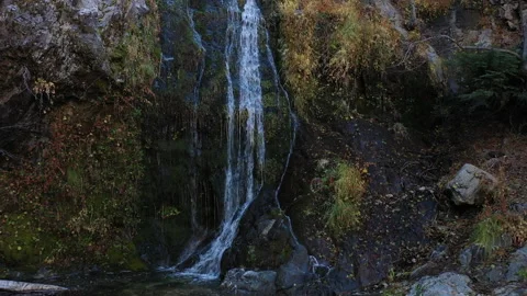 Waterfall in forest 库存影片 150011364