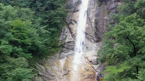 Waterfall in the forest Видео 151918953
