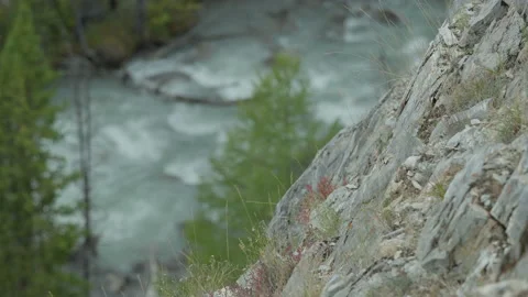 Waterfall in the forest Stock Footage 163845359