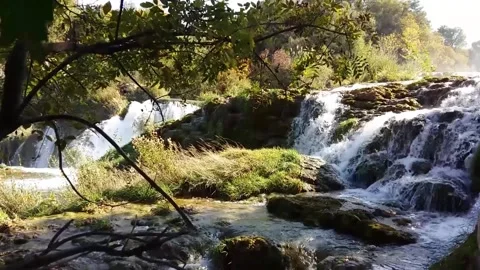 Waterfall in the Forest Stock Footage 166644900