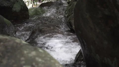 Waterfall in the forest Stock Footage 166645147
