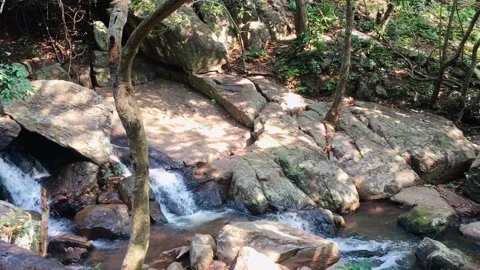 Waterfall in forest Stock Footage 168061984