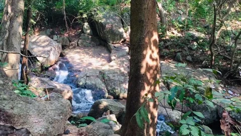 Waterfall in forest Stock Footage 168062209