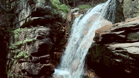 Waterfall in the forest Stock Footage 171881929
